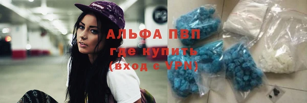 мяу мяу мука Белокуриха