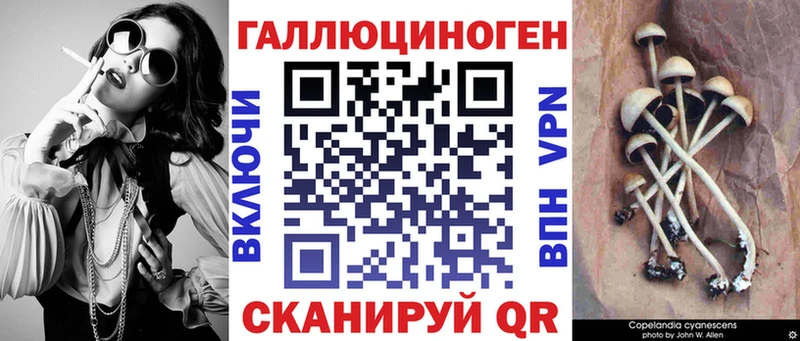 Галлюциногенные грибы Psilocybine cubensis  Купить  Усмань 